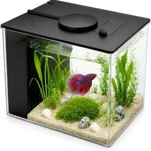 3.7L Aquarium Starter Kits Mini Fish Tank with Filter Pump and LED Light | Self Cleaning Glass Aquarium Tank Kit for Betta Shrimp Goldfish Desktop Office...