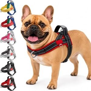 No Pull Front Clip Harness with Handle for Small Medium Dogs Puppy