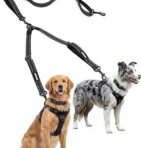 OneTigris Double Dog Lead, No Tangle 360? Swivel Leash with 4 Handles