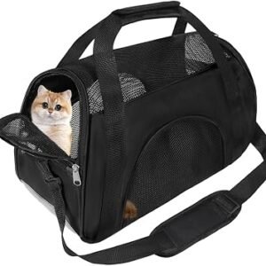 Soft Sided Portable Cat Carrier, Foldable Pet Travel Carriers Bag For Cats/Small Dog/Puppy With Shoulder Strap & Removable Mat,Comfort Cat Basket Airline Approved(Black/Medium)