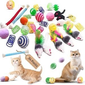 Cat Toys for Indoor Cats, 34 Pack Interactive Cat Toy Set for Kitten