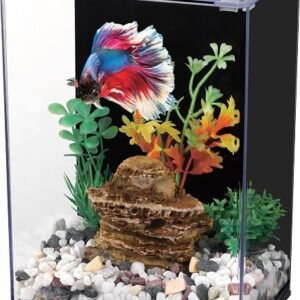 Betta Fish Tank with LED Light, 15x10x20 cm, Acrylic Aquarium with Cover and Black Wall Paper