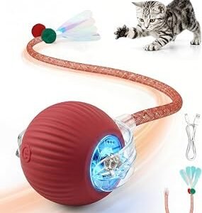 Interactive Cat Toy Ball for Indoor Cats, Rechargeable, Motion Activated