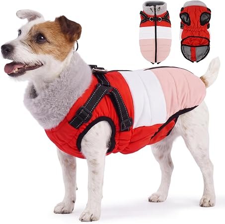 Small Dog Coat, Fleece Lined Dog Coat With Zip | Fleece Lining, Harness Incorporated Into The Coat, Cozy Jacket For A Cold Winter