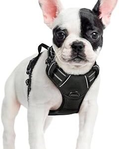 rabbitgoo Dog Harness Small Dog, No Pull Vest with Front Clip & Handle