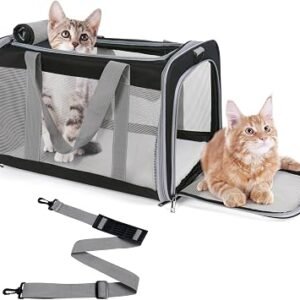 Pet Carrier for Large Cats of 20 Lbs, Collapsible Carrier Bag for Big Cat or 2 Kittens,Soft Sided Puppy Carrier with Sturdy Travel Transport Strap, Adequate Ventilation, 4 Mesh Windows(Black)