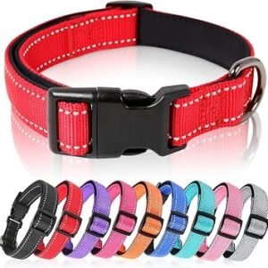 HEELE Dog Collar, Reflective Dog Collar, Soft Neoprene Padded Breathable Nylon Pet Collar Adjustable for Puppy Small Dogs, Red, XS(20-30cm)