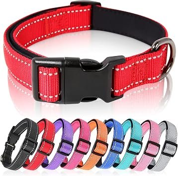 Dog Collars
