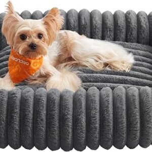 Feandrea Medium Dog Sofa Bed, Soft Padding, Washable, 71 x 55 x 18 cm
