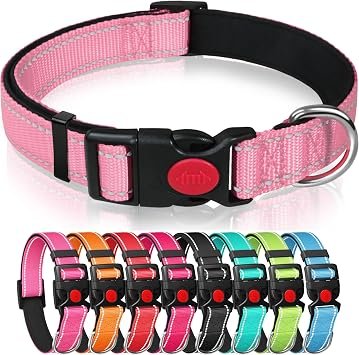 Reflective Nylon Dog Collar, Pink, S