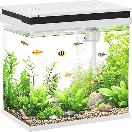 PawHut Fish Tank 26L Glass Aquarium with Filter System for Goldfish, White | LED Lights, Water Pump, Betta Fish Tank, for Shrimps