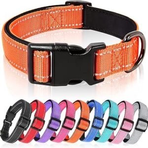 HEELE Dog Collar, Reflective Dog Collar, Soft Neoprene Padded Breathable Nylon Pet Collar Adjustable for Medium Dogs, Lightweight Outdoor Training Collars, Orange, M(34-52cm)