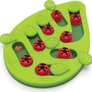 Nina Ottosson by Catstages Buggin' Out Puzzle & Play - Interactive Cat Treat Puzzle