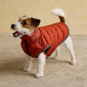 Rosewood x Joules Ketchup Moorsdale Puffer Dog Coat, Small ? Reversible Winter Jacket with Zip Closure, Warm, Lightweight, Water-Resistant Pet Coat for Small Dogs