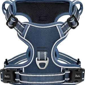 HEELE Dog Harness for Small Dogs No Pull Dog Vest Harness for Small Dog with Soft Padded Handle Reflective for Outdoor Training, Royal Blue, S