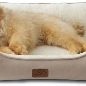 Bedsure Large Cat beds for Indoor Cats Washable, Small Dog Bed, 63.5x53cm
