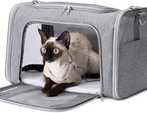 Amazon Basics Tote-Like Soft Cat & Dog Carrier with Adjustable Shoulder Strap, Airline-Approved, Foldable and Portable Design, Mesh Ventilation,43.2cm x 27.9cm x 27.9cm, Grey