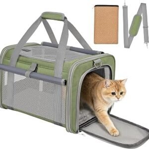 Soft Sided Cat Carrier Bag Airline Approved Large Pet Carrier Portable Dog Carrier Ventilated Foldable Pet Travel Carriers Bag For Cats With Shoulder Strap & Washable Mat (Grass Green)