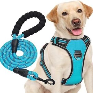 haapaw Dog Harness Medium, No Pull with Lead, Reflection Blue