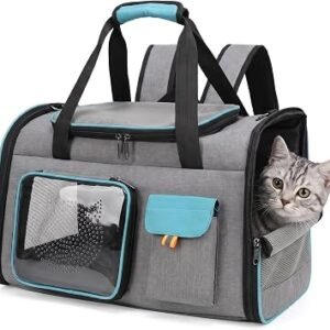 Foldable Cat Carrier with Double Shoulder Straps, Stable Soft-Sided Pet Travel Transport Bag with Breathable Mesh, Waterproof Dog Backpack Carrier with Removable Mat for Cats & Small Dogs, 51x34x30cm