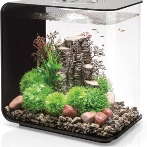 biOrb FLOW 30 Aquarium With Integrated LED Lights (Black, 30 Litres) | Perfect Beginner Fish Tank, Quick & Easy Set Up, 3 Transparent Sides & 5-Step...