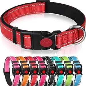 Reflective Nylon Dog Collar, Red, M